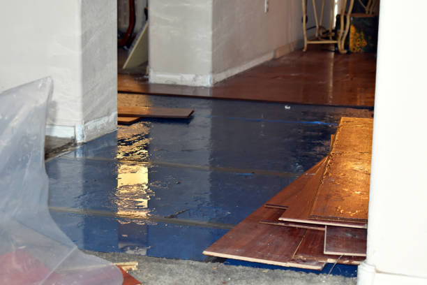 Professional Burst Pipe Cleanup technician working in Coulterville, IL