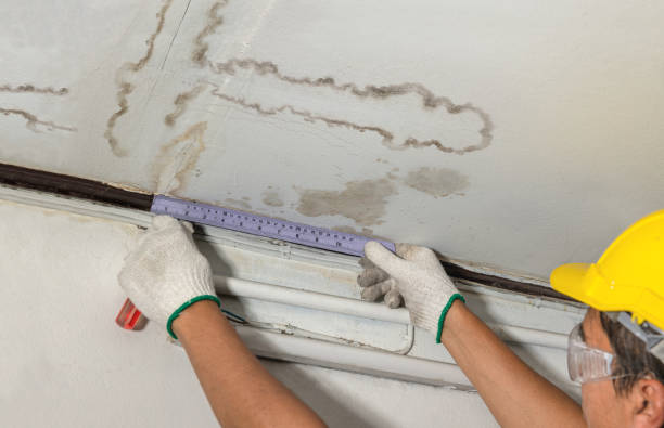 Reliable Burst Pipe Cleanup contractor in Coulterville, IL by Water Damage Irwin